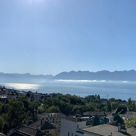 New Luxury View -